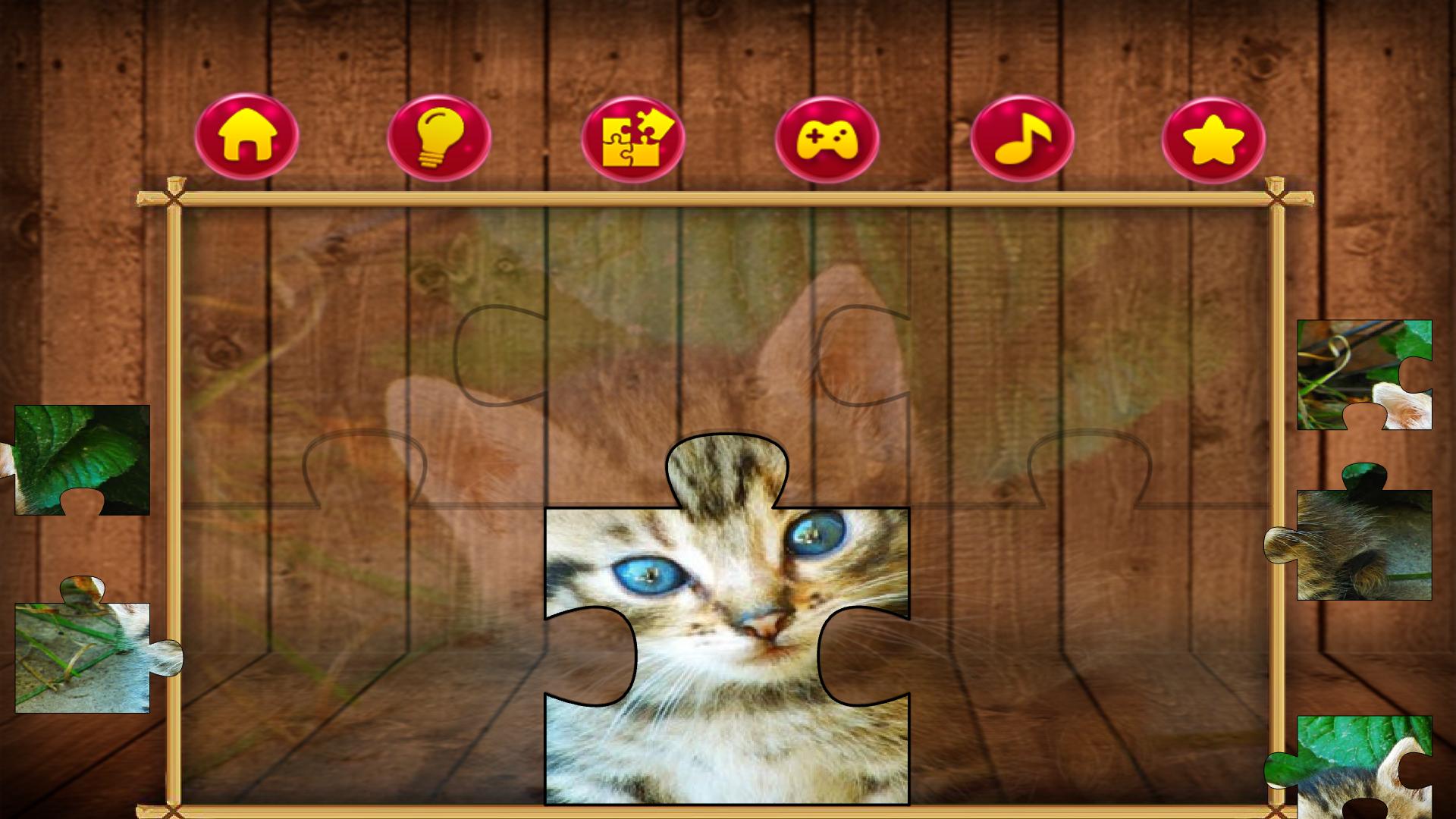 Игра кошка ответы. Головоломка "кошка". Игра головоломка про кошку. Игры с кошками дома. Ответ в игре Cat Puzzle.