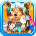 Princess Dog Care