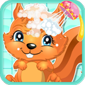 Squirrel Care game