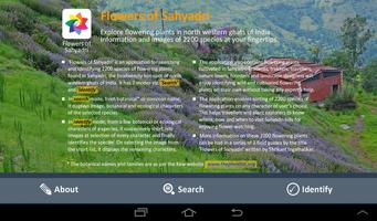 Flowers of Sahyadri Affiche