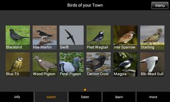 Birds of your Town Affiche