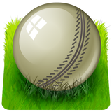 Play-On Cricket icon