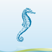 Seahorse Dilution Calculator