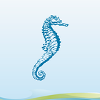 Seahorse Dilution Calculator icône