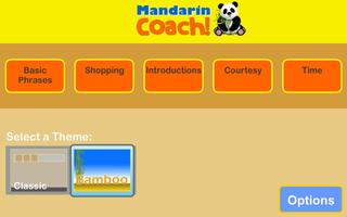 Poster Mandarin Coach