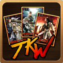 Three Kingdoms Warlords APK