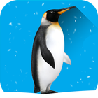 Hide The Penguin : Zoo Escape أيقونة