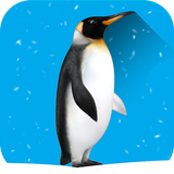 Hide The Penguin : Zoo Escape icon