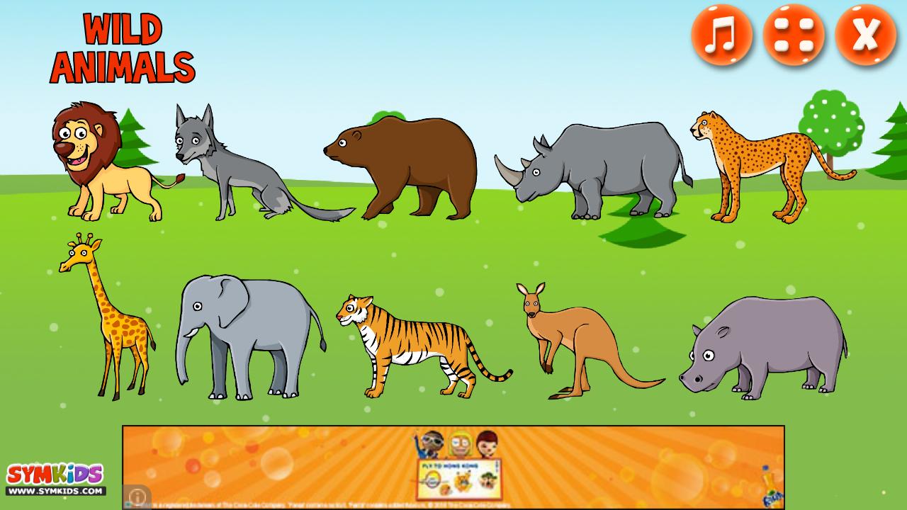 Kids box wild animals