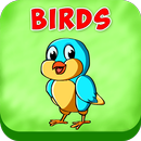 Birds APK