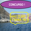 Concurso