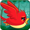 Crazy Hungry Birds APK