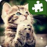 Cute Cats Puzzles - libre
