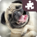 Puppy Jigsaw Puzzles