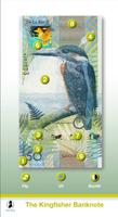 Kingfisher Banknote Plakat