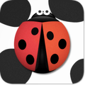 tiles of piano (ladybug)
