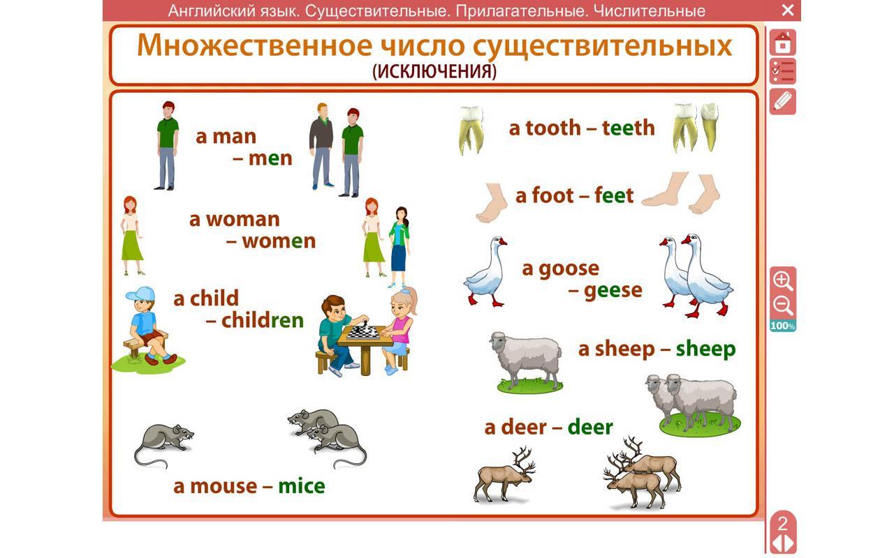 Множественные слова ребенок. Существительные исключения в английском языке множественное число. Слова исключения множественного числа в английском языке. Мн ч сущ в английском языке исключения. Мн.число существительных в английском исключения.