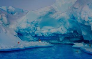 Escape Games Antarctic Dolphin syot layar 1