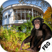 ”Escape Games- Abandoned Monkey