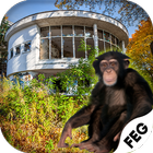 Escape Games- Abandoned Monkey icono