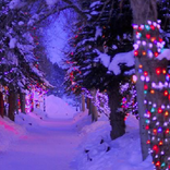 Escape Games Planet-1