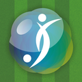 Football Fan 2014