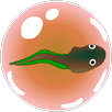 Frogspawn bubble shooter APK