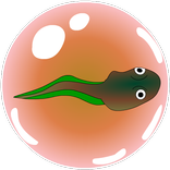 Frogspawn bubble shooter