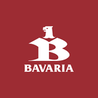 Bavaria Informe DS 2013-icoon