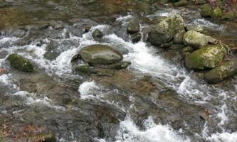 Gatlinburg Stream 스크린샷 1