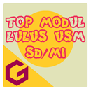 Top Modul USM SD aplikacja