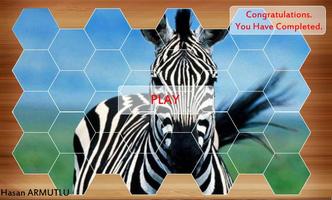 Hexa Puzzle পোস্টার