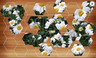 2 Schermata Hexa Puzzle