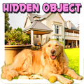 Hidden Objects Fancy Mansion