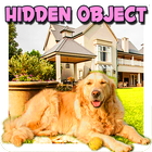 Hidden Objects Fancy Mansion icône