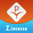 ”Palagina - Zanzariere Incasso