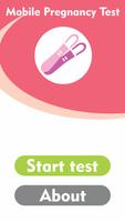 Pregnancy Test to Check Am I Prengnant? Affiche
