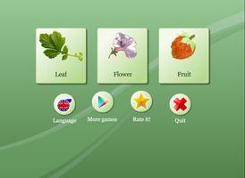 Biology - Plant Morphology الملصق