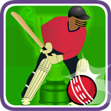 World Cricket T20 2016 icône