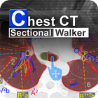 Chest CT Sectional Walker icon