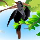 Интерактивная книга Квартет APK