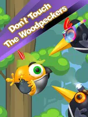 Don`t Touch The Woodpeckers - Arcade Games APK download