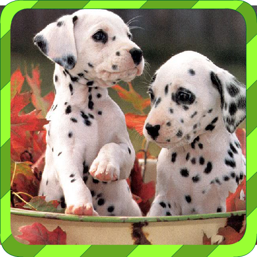 Puppy Games - Spot Differences