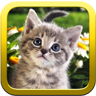 Kitty Puzzles 아이콘