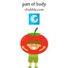 أقسام جسم الإنسان / partof body icône