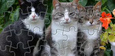 Puzzle with Cute Cats