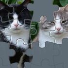 Puzzle with Cute Cats-icoon