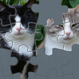 Puzzle with Cute Cats ikon
