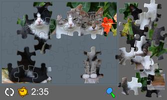 Puzzle with Cute Cats پوسٹر