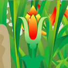 SubtropicalWoodsEscape icon